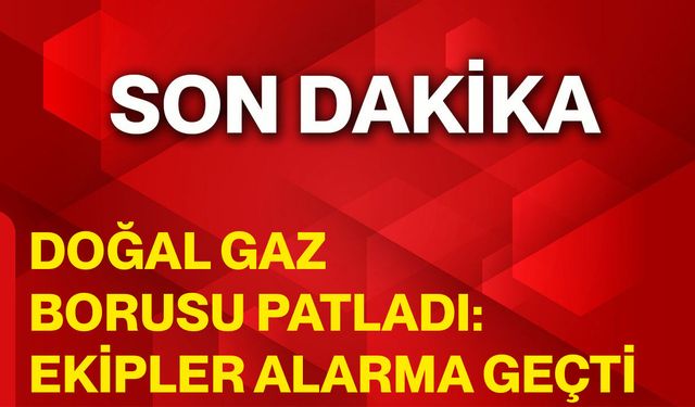 Doğal Gaz Borusu Patladı: Ekipler Alarma Geçti