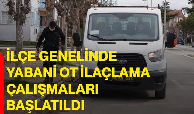 İlçe Genelinde Yabani Ot İlaçlama Çalışmaları Başlatıldı