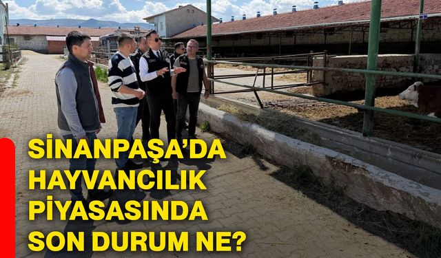 Sinanpaşa’da hayvancılık piyasasında son durum ne?