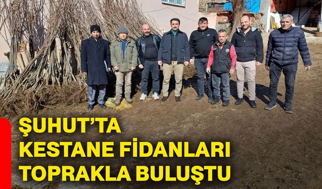 Şuhut’ta kestane fidanları toprakla buluştu