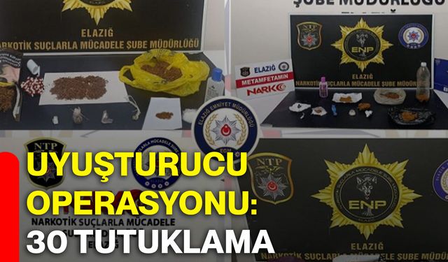 Uyuşturucu operasyonu: 30 tutuklama