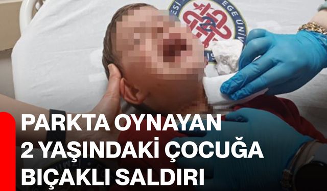 Parkta oynayan 2 yaşındaki çocuğa bıçaklı saldırı