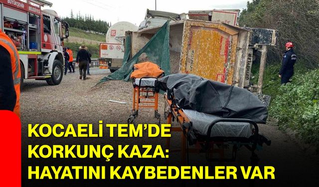 Kocaeli TEM’de Korkunç Kaza: Hayatını Kaybedenler Var