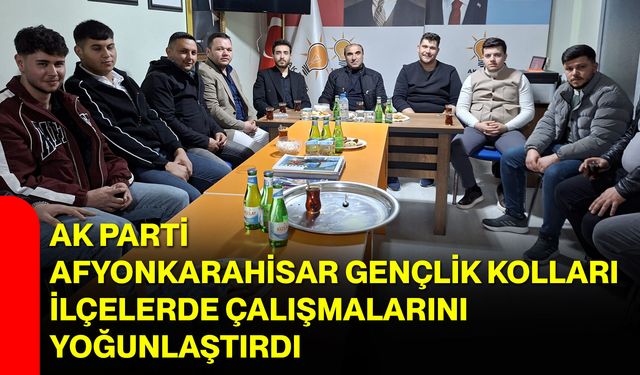 AK Parti Afyonkarahisar Gençlik Kolları İlçelerde Çalışmalarını Yoğunlaştırdı
