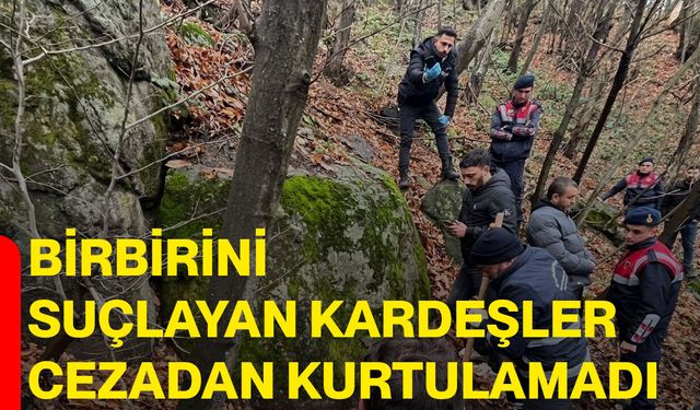 Birbirini suçlayan kardeşler cezadan kurtulamadı