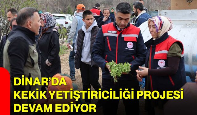 Dinar’da Kekik Yetiştiriciliği Projesi devam ediyor