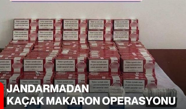 Jandarmadan kaçak makaron operasyonu