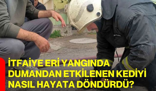 İtfaiye eri yangında dumandan etkilenen kediyi nasıl hayata döndürdü?