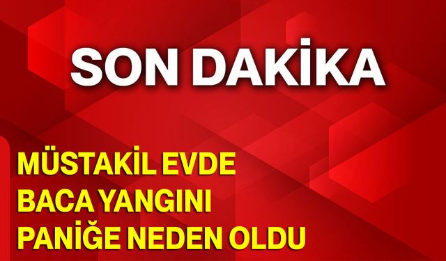 Müstakil evde baca yangını paniğe neden oldu