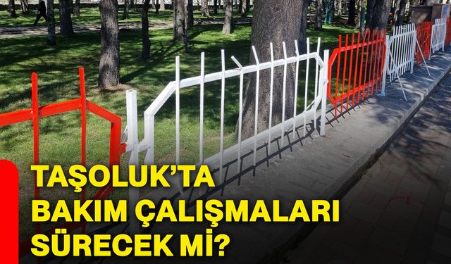 Taşoluk’ta bakım çalışmaları sürecek mi?