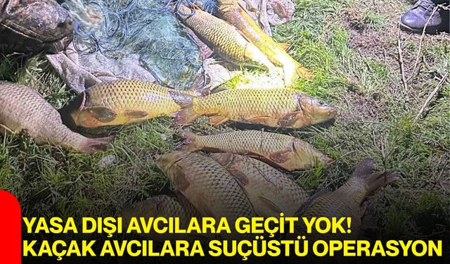 Yasa Dışı Avcılara Geçit Yok! kaçak avcılara Suçüstü Operasyon