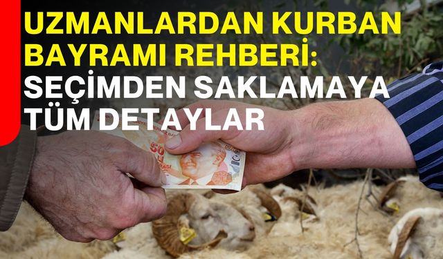 Uzmanlardan Kurban Bayramı Rehberi: Seçimden Saklamaya Tüm Detaylar