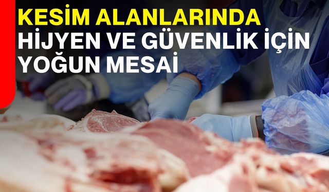 Kesim alanlarında hijyen ve güvenlik için yoğun mesai