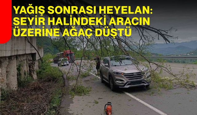 Yağış Sonrası Heyelan: Seyir Halindeki Aracın Üzerine Ağaç Düştü