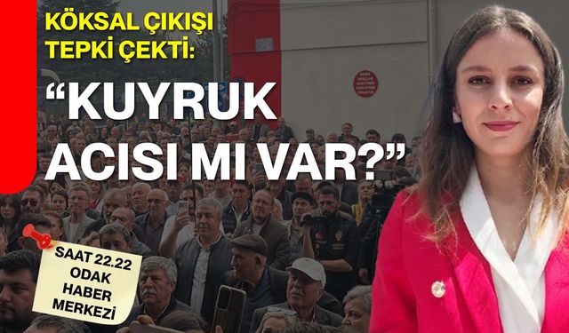 Köksal çıkışı tepki çekti: “Kuyruk acısı mı var?”