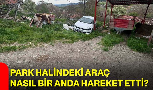 Park Halindeki Araç Nasıl Bir Anda Hareket Etti?