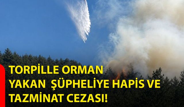 Torpille Orman Yakan Şüpheliye Hapis ve Tazminat Cezası!