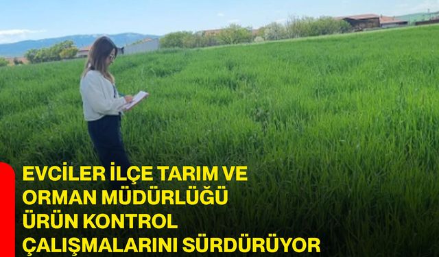Evciler İlçe Tarım ve Orman Müdürlüğü Ürün Kontrol Çalışmalarını Sürdürüyor