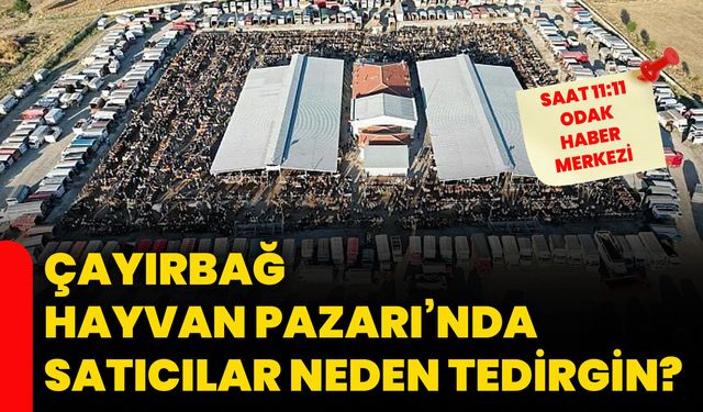 Çayırbağ Hayvan Pazarı’nda satıcılar neden tedirgin?
