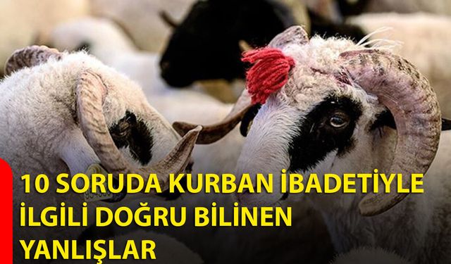 10 soruda kurban ibadetiyle ilgili doğru bilinen yanlışlar