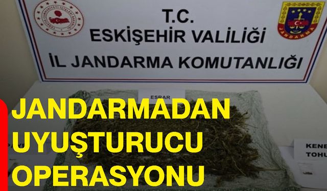 Jandarmadan uyuşturucu operasyonu