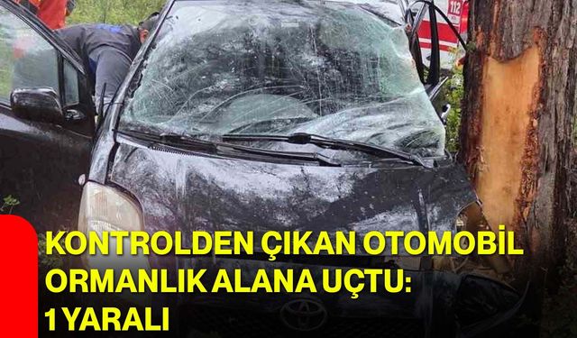 Kontrolden Çıkan Otomobil Ormanlık Alana Uçtu: 1 Yaralı
