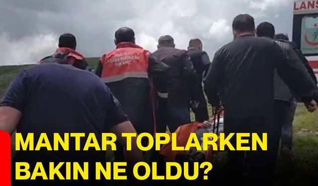 Mantar toplarken bakın ne oldu?