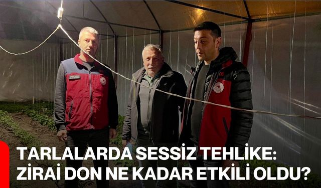 Tarlalarda Sessiz Tehlike: Zirai Don Ne Kadar Etkili Oldu?