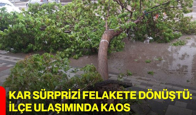 Kar Sürprizi Felakete Dönüştü: İlçe Ulaşımında Kaos