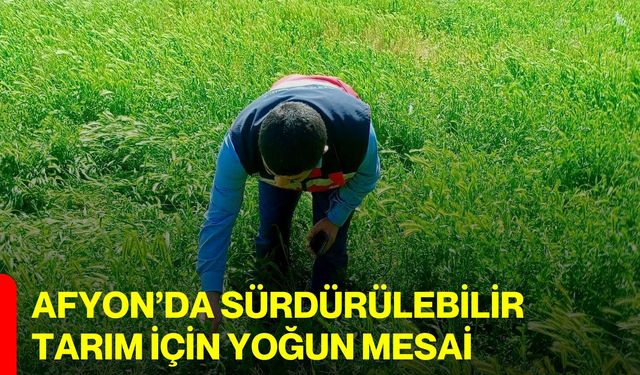 Afyon’da sürdürülebilir tarım için yoğun mesai