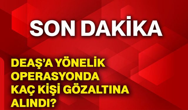 DEAŞ’a yönelik operasyonda kaç kişi gözaltına alındı?