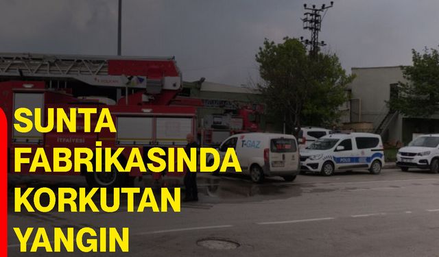 Sunta fabrikasında korkutan yangın