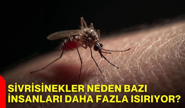 Sivrisinekler neden bazı insanları daha fazla ısırıyor?
