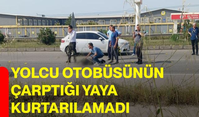Yolcu otobüsünün çarptığı yaya kurtarılamadı