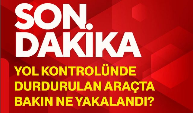 Yol kontrolünde durdurulan araçta bakın ne yakalandı?