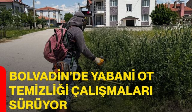 Bolvadin’de yabani ot temizliği çalışmaları sürüyor