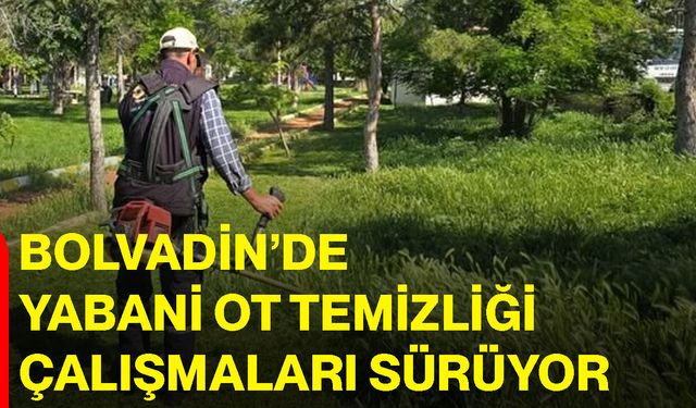 Bolvadin’de yabani ot temizliği çalışmaları sürüyor