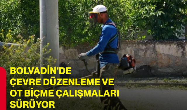 Bolvadin’de çevre düzenleme ve ot biçme çalışmaları sürüyor