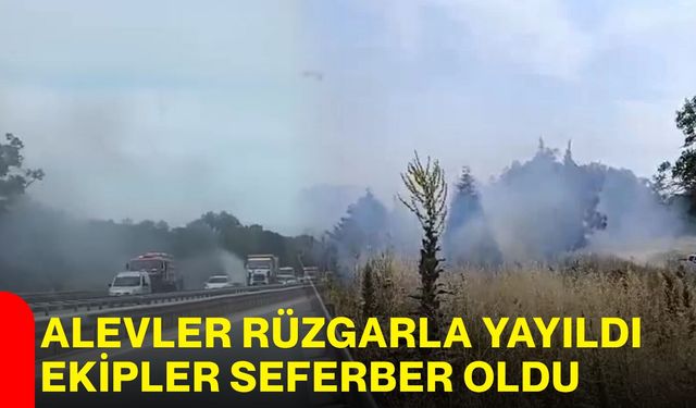 Alevler rüzgarla yayıldı, ekipler seferber oldu