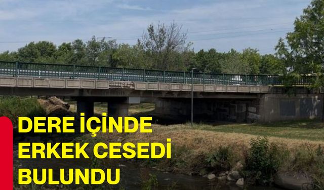 Dere içinde erkek cesedi bulundu