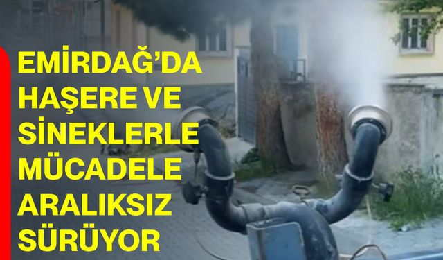 Emirdağ’da haşere ve sineklerle mücadele aralıksız sürüyor