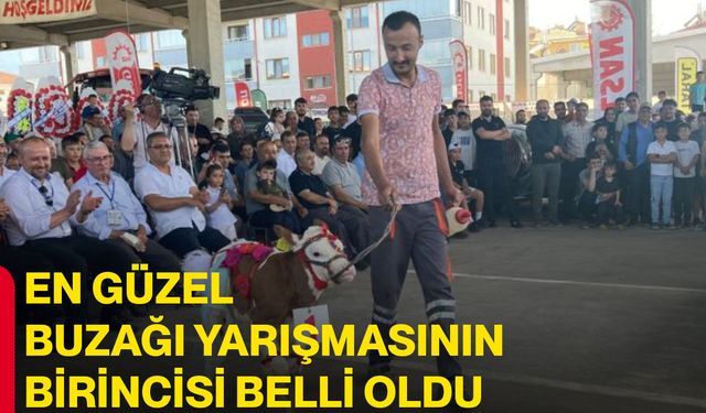 En güzel buzağı yarışmasının birincisi belli oldu