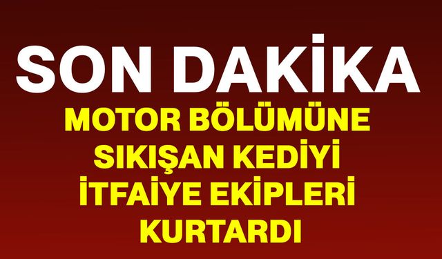 Motor bölümüne sıkışan kediyi itfaiye ekipleri kurtardı