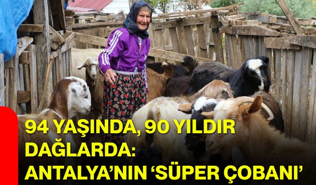 94 yaşında, 90 yıldır dağlarda: Antalya’nın ‘Süper çobanı’
