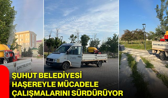 Şuhut Belediyesi haşereyle mücadele çalışmalarını sürdürüyor