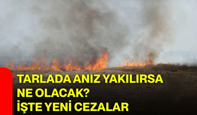 Tarlada anız yakılırsa ne olacak? İşte yeni cezalar