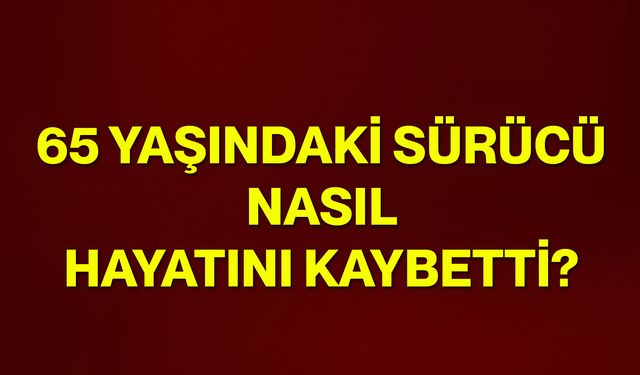 65 yaşındaki sürücü nasıl hayatını kaybetti?