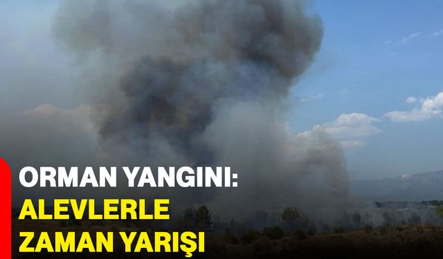 Orman yangını: Alevlerle zaman yarışı