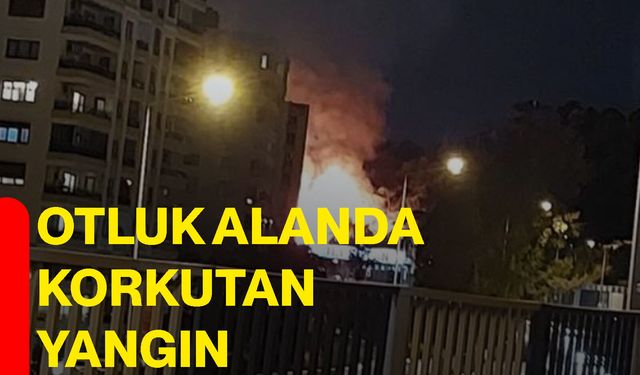 Otluk alanda korkutan yangın