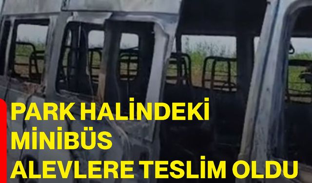 Park halindeki minibüs alevlere teslim oldu